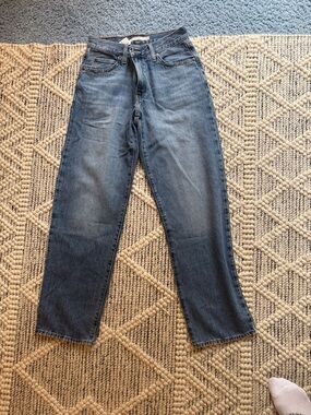 Women's Levi’s ‘94 Baggy Straight-Leg Blue Jeans — Classic Everyday Fit